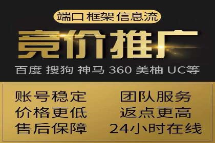 竞价推广代运营成功案例分析